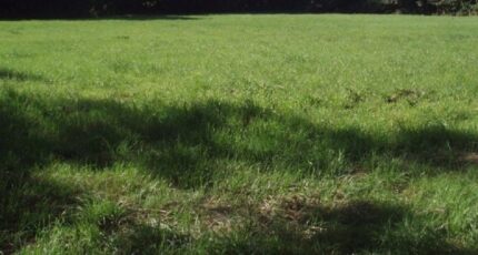 Occagnes Maison neuve - 2271863-1153annonce120240527HT9uD.jpeg Maisons France Confort