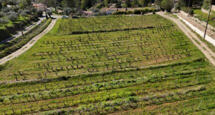 Cotignac Terrain à bâtir - 2273566-10744annonce120250131lvqKV.jpeg Maisons France Confort