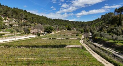 Cotignac Terrain à bâtir - 2273563-10744annonce120250528l9rnT.jpeg Maisons France Confort