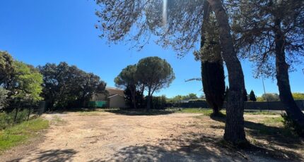 Castries Maison neuve - 2273811-3243annonce320250917SAISO.jpeg Maisons France Confort