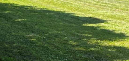 Terrain à bâtir à Champagnolles, Nouvelle-Aquitaine