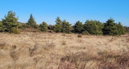 Marquixanes Terrain à bâtir - 2277077-4671annonce120250919zvvTz.jpeg Maisons France Confort