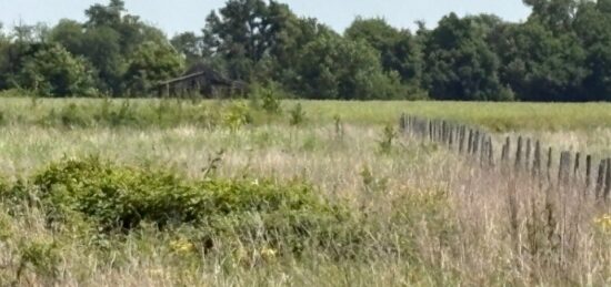 Terrain à bâtir à Le Born, Occitanie