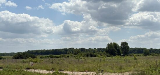 Terrain à bâtir à , Haute-Garonne