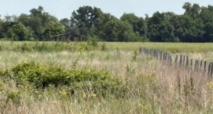 Le Born Maison neuve - 2277371-11356annonce120250919Z1d4a.jpeg Maisons France Confort