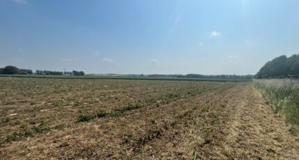 Thélus Maison neuve - 2276303-10222annonce320250919Rgmsl.jpeg Maisons France Confort