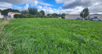 Montans Maison neuve - 2283997-11178annonce220250925WQfDU.jpeg Maisons France Confort