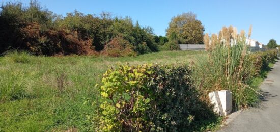 Terrain à bâtir à Fargues-Saint-Hilaire, Nouvelle-Aquitaine