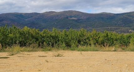 Los Masos Terrain à bâtir - 2290562-4671annonce120251002KzQyR.jpeg Maisons France Confort