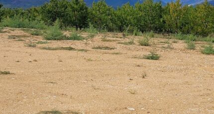 Los Masos Terrain à bâtir - 2290598-4671annonce120251002VTRU1.jpeg Maisons France Confort