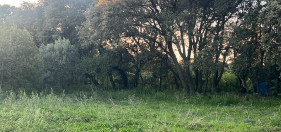 Terrain à bâtir à Plan-d'Orgon, Provence-Alpes-Côte d'Azur