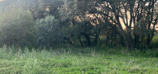 Terrain à bâtir à , Bouches-du-Rhône