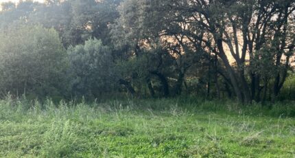 Plan-d'Orgon Terrain à bâtir - 2291594-11073annonce320251002ZL0t7.jpeg Maisons France Confort