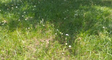 Créon Maison neuve - 2292111-11266annonce220251003AQZT2.jpeg Maisons France Confort