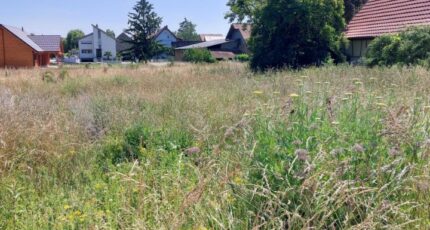 Obersaasheim Terrain à bâtir - 2292124-5767annonce120251003XpT9i.jpeg Maisons France Confort