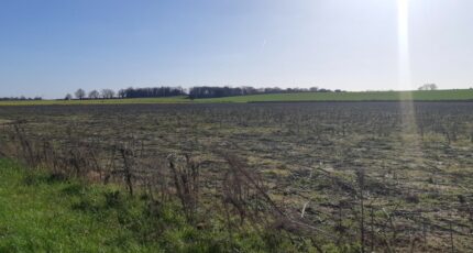 Merville Terrain à bâtir - 2290106-5202annonce120251001SObwN.jpeg Maisons France Confort