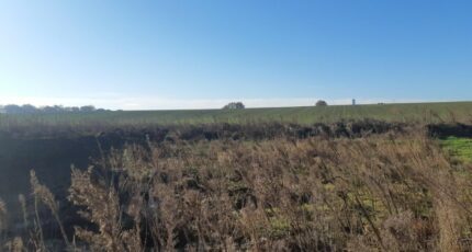 Merville Maison neuve - 2290135-5202annonce320251001rNbWW.jpeg Maisons France Confort