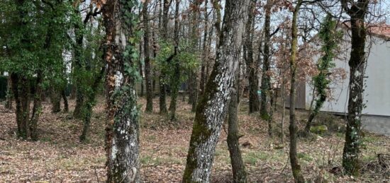 Terrain à bâtir à , Tarn