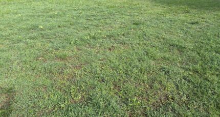 Aucamville Maison neuve - 2293839-11356annonce220251003ploA6.jpeg Maisons France Confort