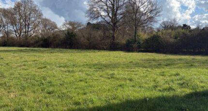 Chaumes-en-Retz Terrain à bâtir - 2296117-11110annonce320251007NbP6t.jpeg Maisons France Confort