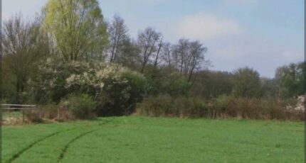 Garches Terrain à bâtir - 2257780-11374annonce120250902CtOcv.jpeg Maisons France Confort