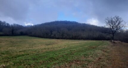 Loubressac Terrain à bâtir - 2299363-6976annonce220250227cNeum.jpeg Maisons France Confort