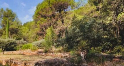 Les Arcs Terrain à bâtir - 2299392-10152annonce120250614Vd444.jpeg Maisons France Confort