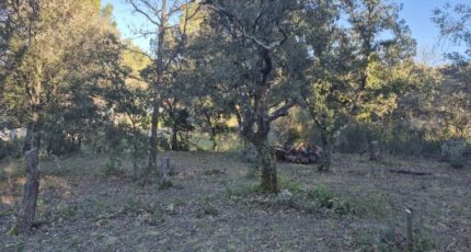 Saint-Maximin-la-Sainte-Baume Terrain à bâtir - 2299394-10152annonce120250529R31ah.jpeg Maisons France Confort