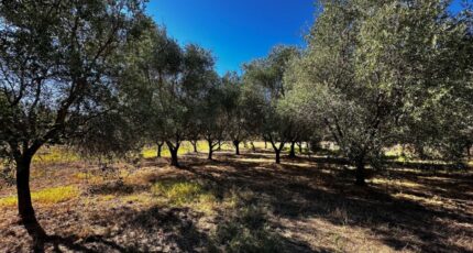 Puget-sur-Argens Terrain à bâtir - 2299529-11157annonce320251009HJffB.jpeg Maisons France Confort