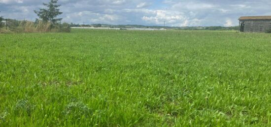 Terrain à bâtir à Caubeyres, Nouvelle-Aquitaine