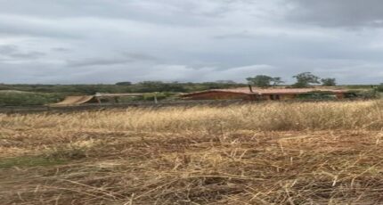 Brugairolles Maison neuve - 2300396-10986annonce120251009suiLw.jpeg Maisons France Confort