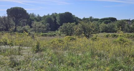 Puget-sur-Argens Terrain à bâtir - 2303026-5163annonce320251013CCxFv.jpeg Maisons France Confort