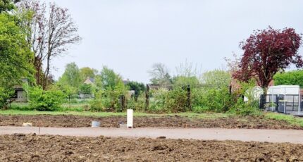 Bailleul Terrain à bâtir - 2303504-1807annonce220251013OJkEP.jpeg Maisons France Confort