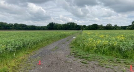 Carvin Maison neuve - 2303636-1807annonce1202510135Oq2n.jpeg Maisons France Confort