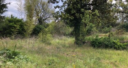 Gréasque Terrain à bâtir - 2304609-11115annonce120251014gsu8v.jpeg Maisons France Confort