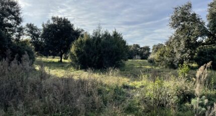 Saint-Siffret Maison neuve - 2305589-4620annonce120251015o9hJZ.jpeg Maisons France Confort