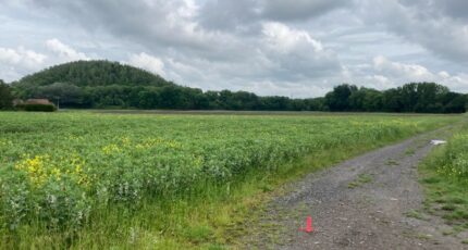 Carvin Terrain à bâtir - 2305929-1807annonce120251015MwNnX.jpeg Maisons France Confort