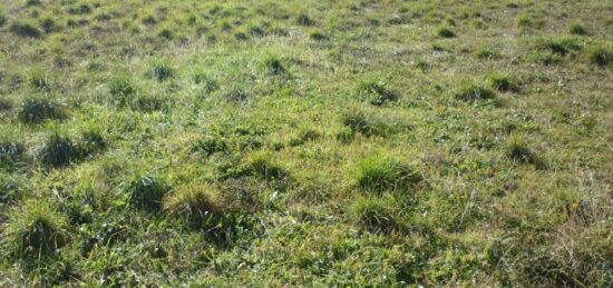 Terrain à bâtir à Trausse, Occitanie