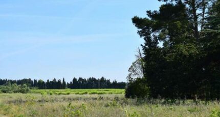 Domazan Maison neuve - 2307882-3243annonce120251016dr0d9.jpeg Maisons France Confort