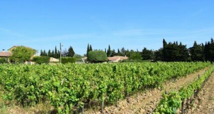 Estézargues Maison neuve - 2307927-3243annonce320251016aiLlJ.jpeg Maisons France Confort