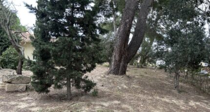 Bouzigues Terrain à bâtir - 2307936-11018annonce320251016qmXAB.jpeg Maisons France Confort