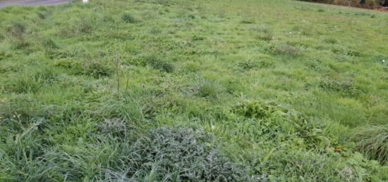 Terrain à bâtir à Couzeix, Nouvelle-Aquitaine