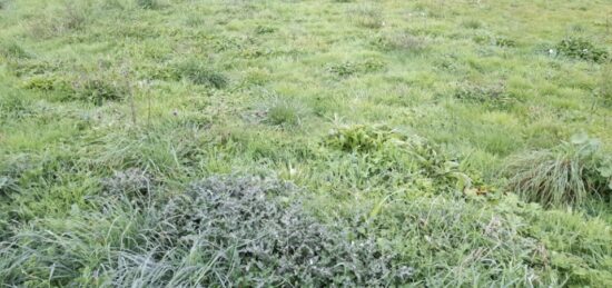 Terrain à bâtir à , Haute-Vienne