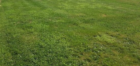 Terrain à bâtir à Frênes, Normandie