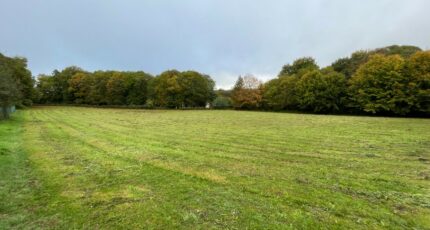 Chaptelat Terrain à bâtir - 2316292-11648annonce120251024b1n8p.jpeg Maisons France Confort