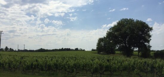 Terrain à bâtir à Salles, Nouvelle-Aquitaine