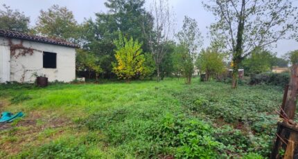 Gaillac Maison neuve - 2321040-11178annonce420251029hWTm0.jpeg Maisons France Confort