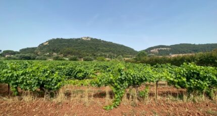 Gonfaron Maison neuve - 2324763-10122annonce320251031uPLeD.jpeg Maisons France Confort