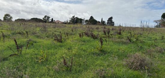 Terrain à bâtir à Bazus, Occitanie