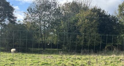 Ivergny Maison neuve - 2318932-11571annonce120251027FASm8.jpeg Maisons France Confort